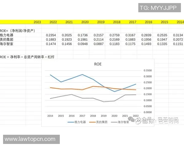 2017年与岚的播出时间对比分析及其影响探讨
